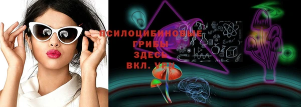 ешки Бородино