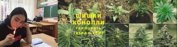 ешки Бородино